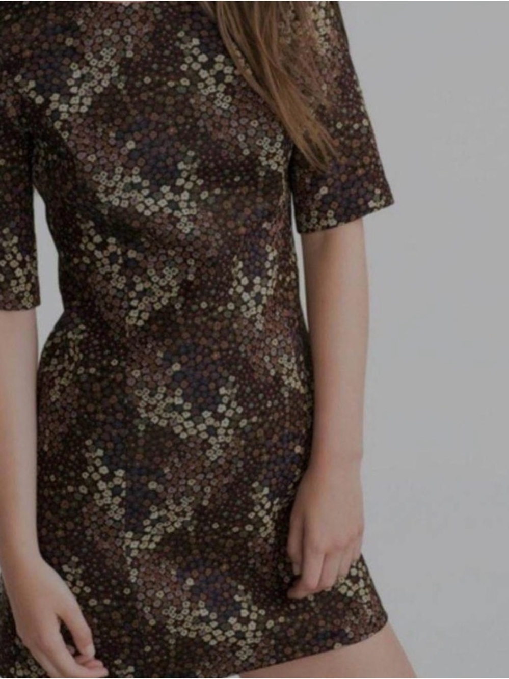 Zara Brown Mini Dress